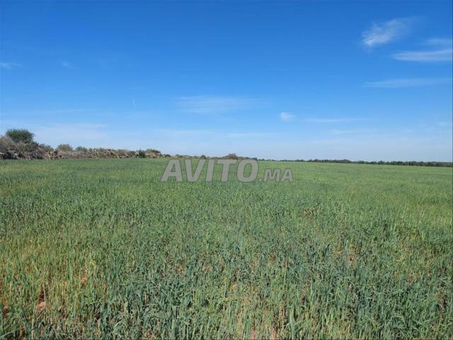 أراضٍ محفظة ببير جديد للبيع للفلاحة والاستثمار - 2