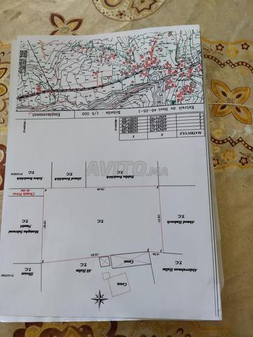 Terrain à vendre à El Krouz - El Hedd El Gharbia à prix raisonnable