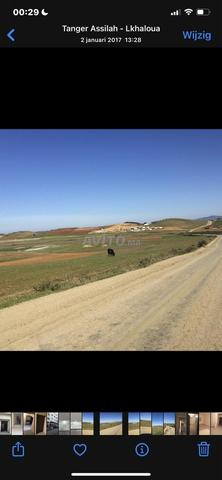 Terrain à vendre près d'Assilah, superficie 2 hectares, excellent