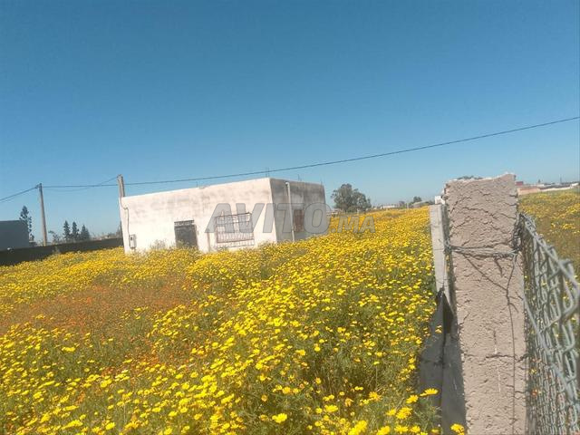 Terrain avec maison, titré - 2