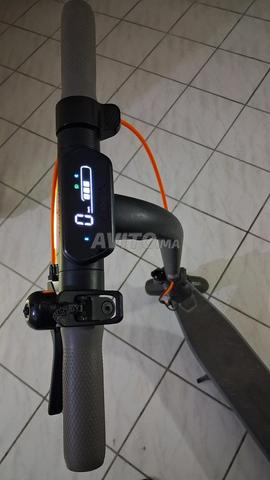 Agadir Formation - 2