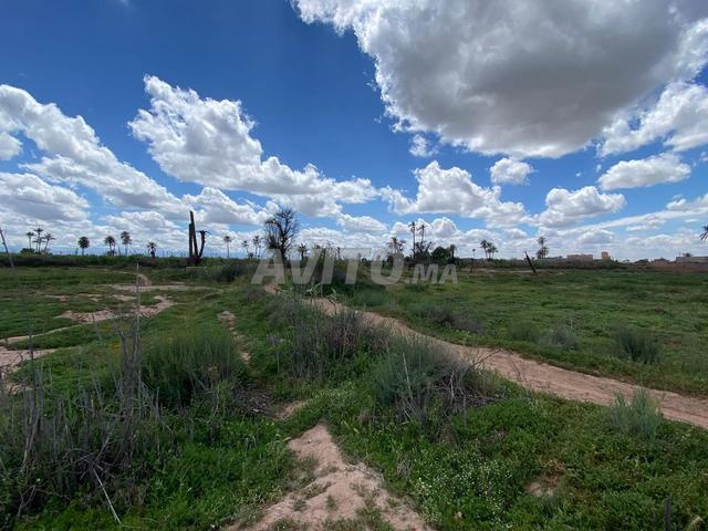  Terrain spécial à vendre près de Marrakech Superficie un hectare - 2