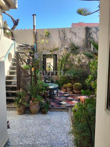 رياد... مشروع حياة جديد في مدينة الصويرة القديمة