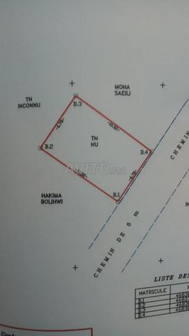 Terrain titré à vendre 70 m² Hay El Hararch Tanger Balia