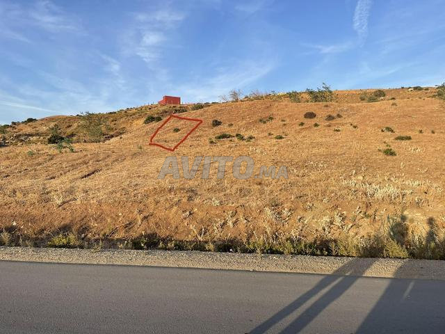 Terrain titré à vendre 70 m² Hay El Hararch Tanger Balia - 2