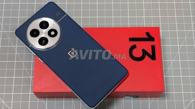 OnePlus 13