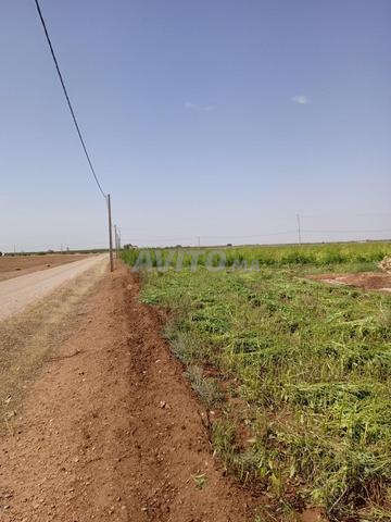 هكتار واحد محفظ بين بني ملال تادلة - 2