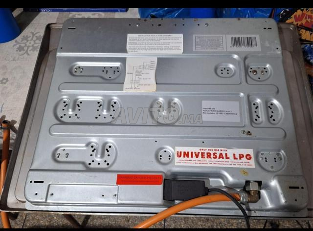 Plaque marque HANZ - 2