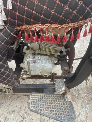 El Jadida Sidi Moussa - 2