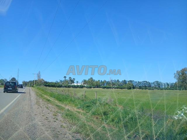 أرض للبيع - 2