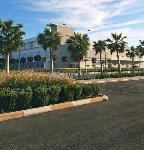 Maison près de l'hôpital Cheikh Zaid à Safi - 2