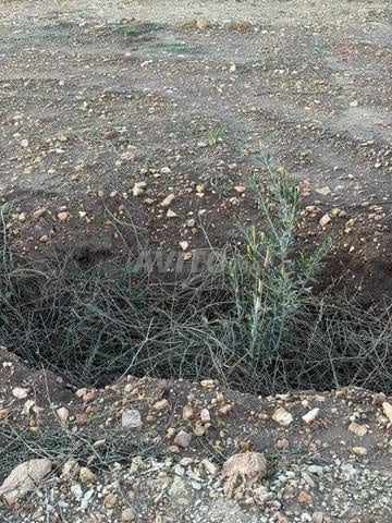 terrain 1 hectare - 2