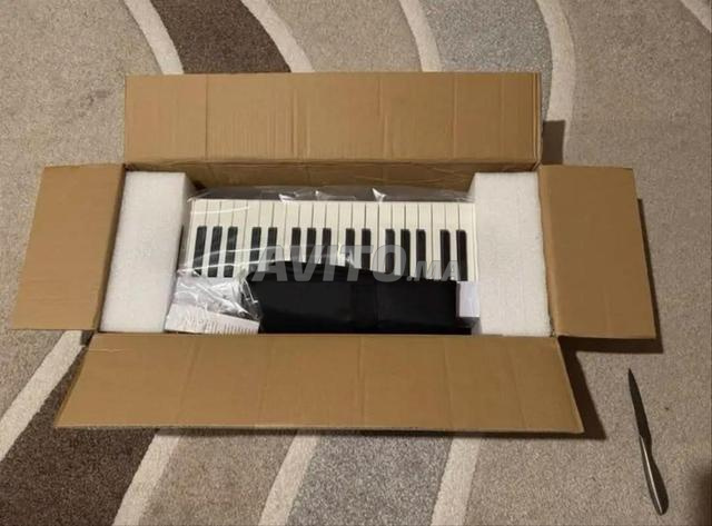 بيانو قابل للطي 88 مفتاح PJ88C - 2