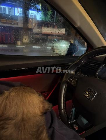 سيات إيبيزا FR - 2