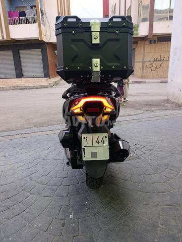 سيم جوي رايد 300 موديل 2024 - 2