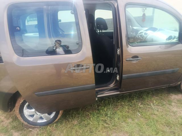 طلاء ميزو - 2