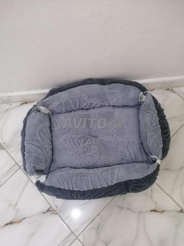 Maisonnette pour chats