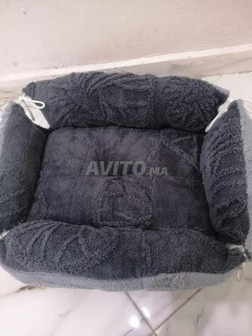 Maisonnette pour chats - 2