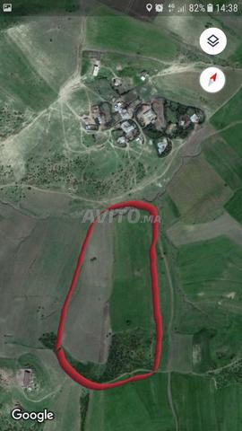 مشروع فلاحي