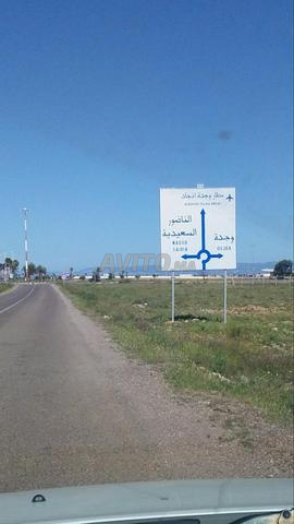 أرض هكتار 1 قرب المطار والتكنوبول - 2