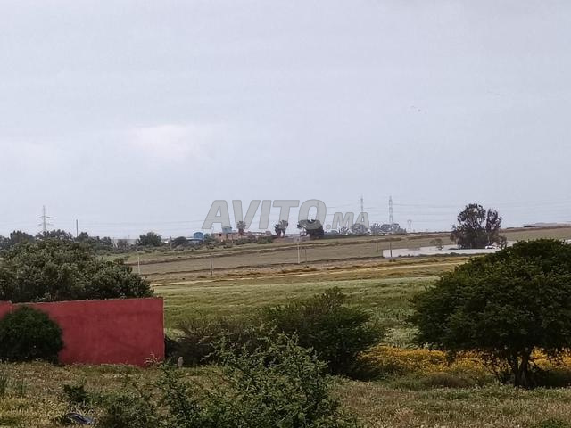 أرض محفظة (25,537 متر مربع) - دوار الغواوتة - 2