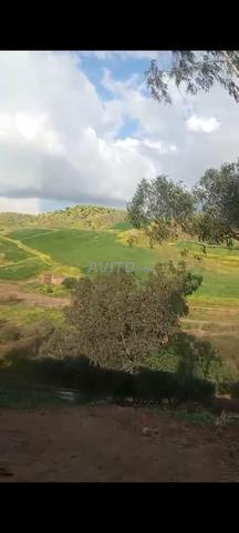 Bir Nsar Oulad Massoud - 2