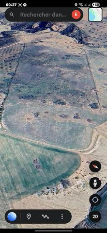 أرض فلاحية مساحتها 10 هكتارات مرخصة - 2