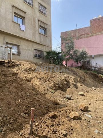 بقعة أرضية عدلية - 2