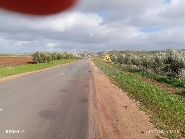 أرض فلاحية 5 هكتار بالحاجب - 2