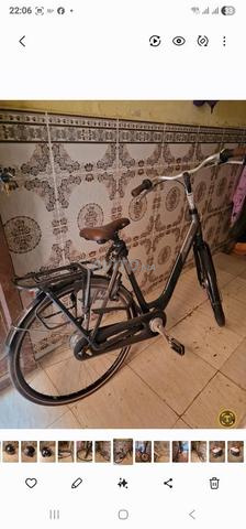 دراجة غازيل سي 8 برتقالية 2025 - 2