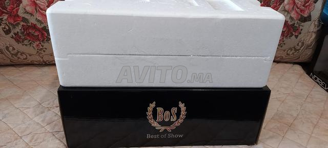 سيارة قابلة للجمع 1/18 - 2