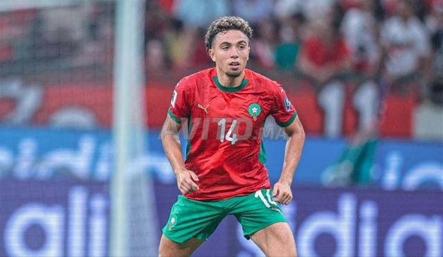 IPTV بريميوم – كل القنوات بسعر خيالي