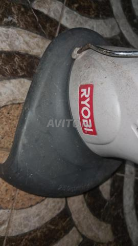 عشب داو جيرمان - 2