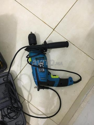 كلب شمواه سويدي مستورد 🇸🇪🇸🇪