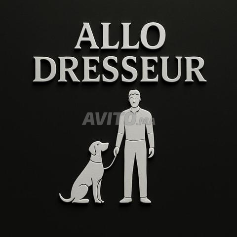 تدريب الكلاب والسلوكيات - 2