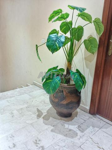 نبتة اصطناعية للبيع بوعاء كبير
