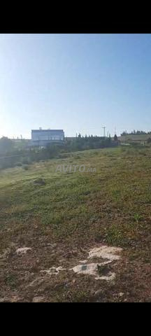 تيتر وفيها منزل مجهز بالكهرباء وبءر - 2