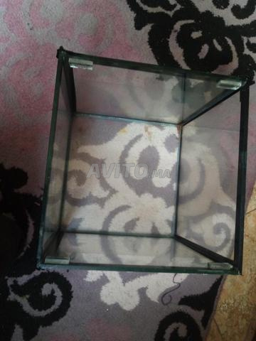 حوض سمك مناسب لأسماكك - 2