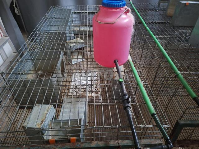 أقفاص أرانب احترافية - 2