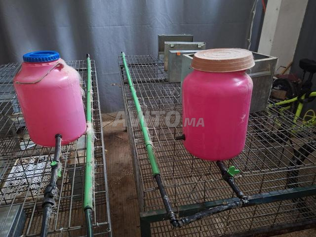 Cages à lapins professionnelles