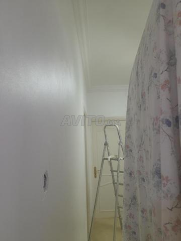 جميع أنواع الصباغة، عادي، ديكورات... - 2