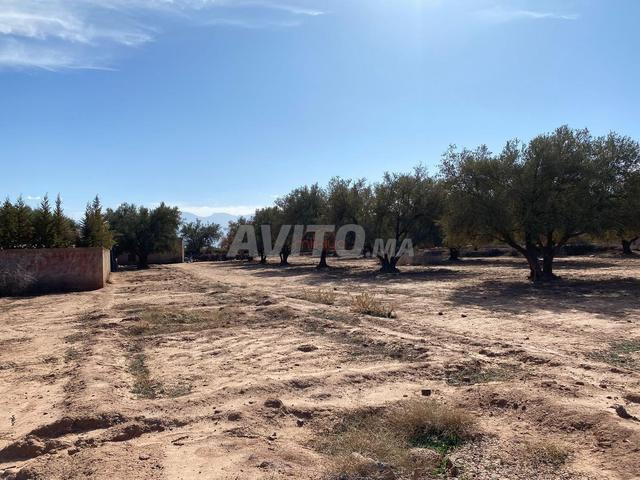 بيع أرض عارية بمساحة 1000 متر مربع في مراكش