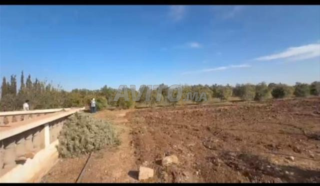 مزرعة مسجلة في أولاد أبو - 2