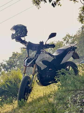 Benelli TXM restyles  - 2