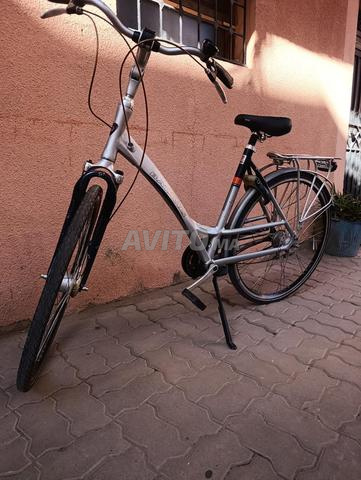 دراجة باتافوس 28 بوصة أوروبا دراجة - 2