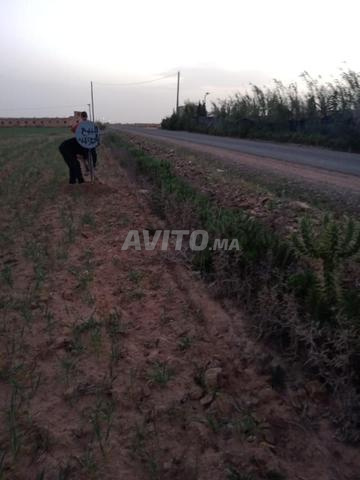 أرض للبيع - 2