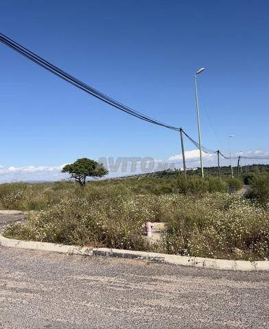 فرصة استثمارية بالصويرة.. أرض برخصة مدرسة خصوصية