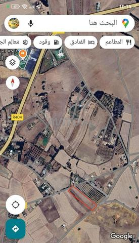 الخميسات طريق ضاية رومي - 2