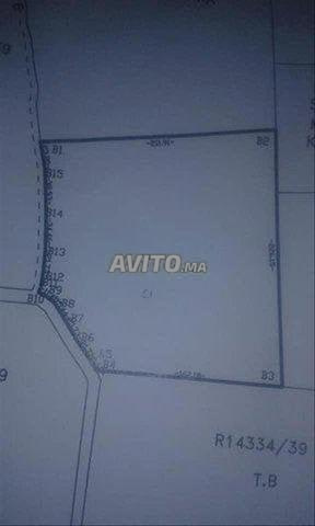 أرض في تارودانت مسجلة 4 هكتارات زراعية - 2