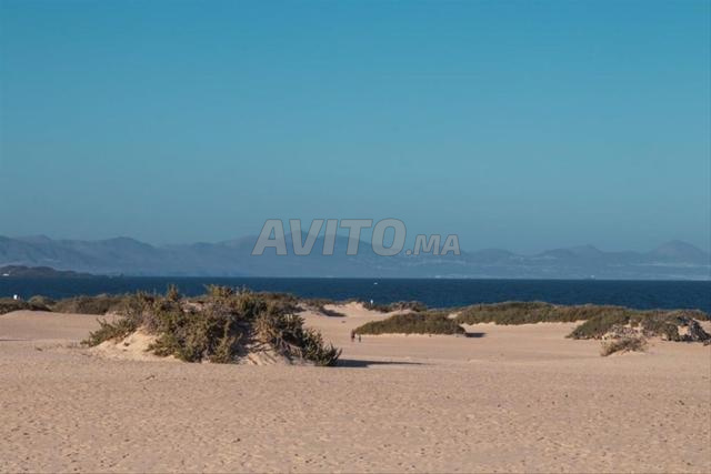 Vendre terrain Taghazout 3600m prêt plage 4km